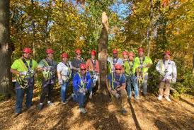 Image result for Wey Adventure Group