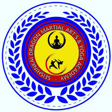 Image result for Dragon Martial Arts Association