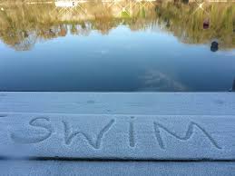 Image result for St. Albans Snorkelling Club (SASC)