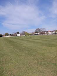 Image result for Chingford Cricket Club