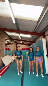 Image result for Brumby Gymnastics Club