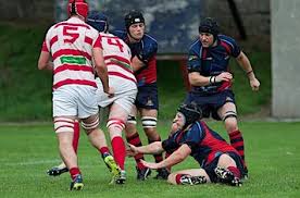 Image result for Bideford Rugby Football Club