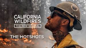 Image result for Hotshots