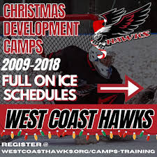 Image result for West Coast Wasps Skater Hockey Club