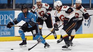 Image result for Milton Keynes Thunder