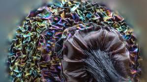 Attēlu rezultāti vaicājumam “Lamproderma debile sessile”