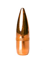 Image result for Barnsley Bullets