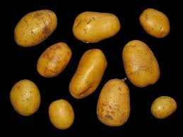 Attēlu rezultāti vaicājumam “Solanum tuberosum”