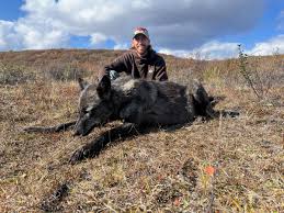 Image result for Weston Rhyn Wolves