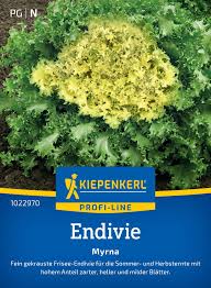 Image result for Endivie