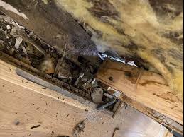 Image result for Maybole Memorial Park Bowling Club