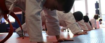 Image result for Northern Freestyle Karate Association