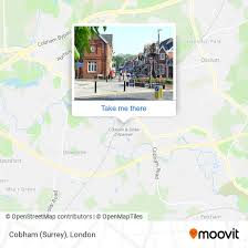 Image result for Leatherhead & Cobham Cc