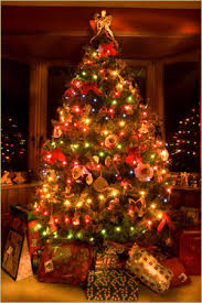 arvore de natal