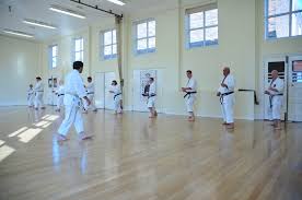 Image result for Devonport Shotokan Karate Club
