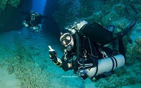 Image result for Surrey Aquanauts B S A C 0689