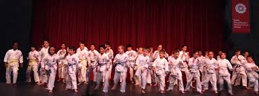 Image result for Aylesbury Vale Seido Karate