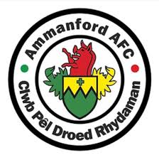 Image result for Ammanford Cricket Club