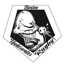 Image result for Llanelli Octopush Club