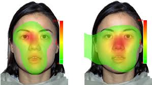 Image result for heat map eye