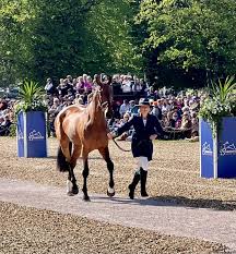 Image result for The London STEP UP Badminton
