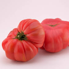 Afbeeldingsresultaat voor Pink Brandywine tomato