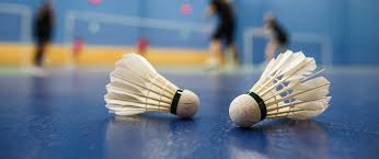Image result for Feathers Junior (Oxfordshire) Badminton Club