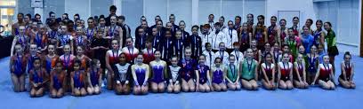 Image result for Croydon Acro Gymnastics Club