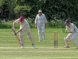 Image result for Harlow Cricket Club