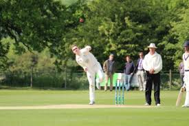 Image result for Woolpit Cricket Club