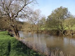 Image result for Bathampton Angling Association