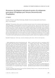 Attēlu rezultāti vaicājumam “Pemphigus borealis”