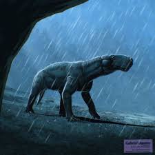 Attēlu rezultāti vaicājumam “Lycogala convexum young”