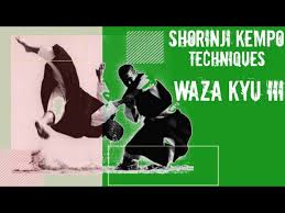 Image result for Winchester Shorinji Kempo Club