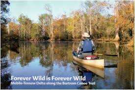 Image result for Hastings Canoe Club