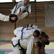 Image result for Thames Valley Karate