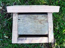 Image result for ladybug house