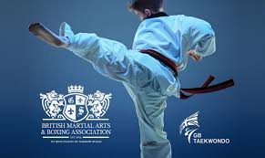 Image result for Fighting Arts Organisation of Great Britain