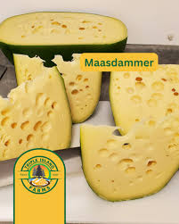 Image result for maasdammer