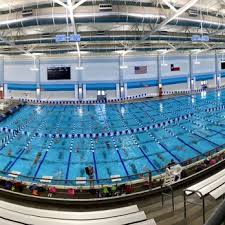 Image result for Leek Swimming Club