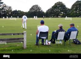 Image result for Halstead Cricket Club