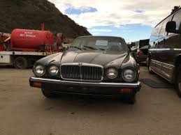 Image result for Black 1983 Jaguar