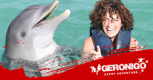 Image result for Grimsby Alexander Dolphins Swimming Club