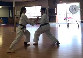 Image result for yonju dojo