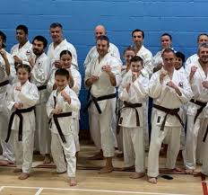 Image result for Kenshukai Karate