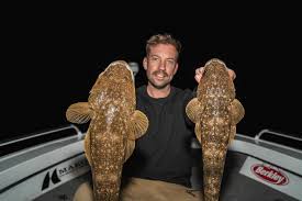 Image result for Platycephalus speculator