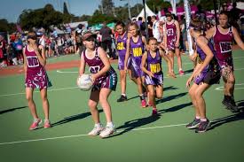 Image result for Civil Service (Ipswich) Netball Club