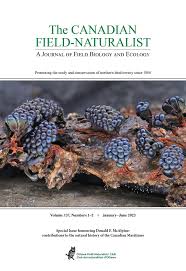 Attēlu rezultāti vaicājumam “Fuligo laevis”