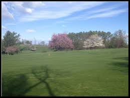 Image result for Millwood Bowling Club