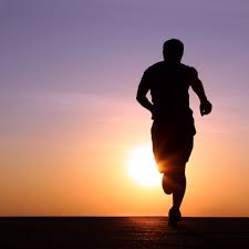 Image result for Keeping In Shape